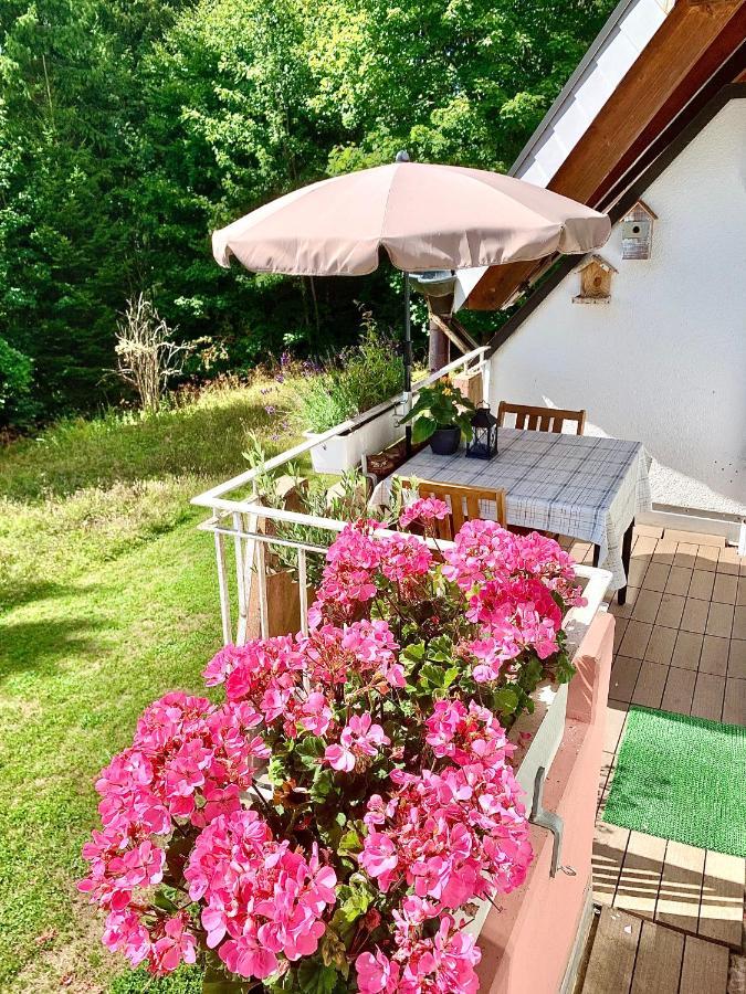Ferienwohnungen Fuchs&Hase Saig - der Hase Exterior foto